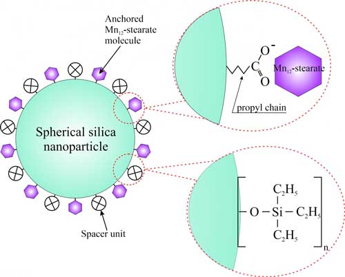 Mn12-stearate single-molecule magnets separated onto the surface of spherical silica