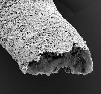 Close-up of a tubular structure made by simultaneous printing and self-assembling between graphene oxide and a protein