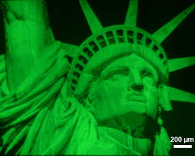 Lady Liberty in neon green hues