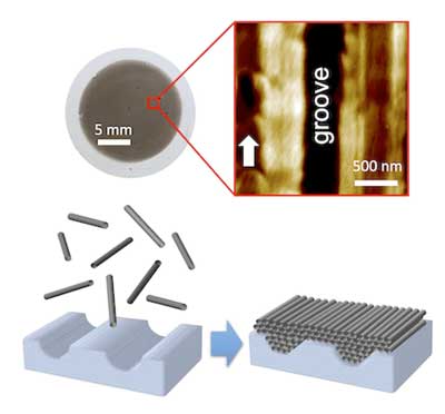 single-walled carbon nanotubes line up side by side in 2D films due to small grooves