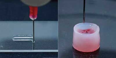 carrier ink for 3D printing biomaterials