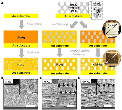 fabrication procedures of various gold nanostructures through proximity-field nanopatterning (PnP) and electroplating techniques