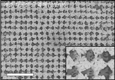 Top view of scanning electron microscope (SEM) images of the hierarchically porous gold nanostructure