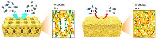 Schematic illustration and the cross-sectional view with the expected reaction pathway for the hierarchically porous gold and nanoporous gold electrodes