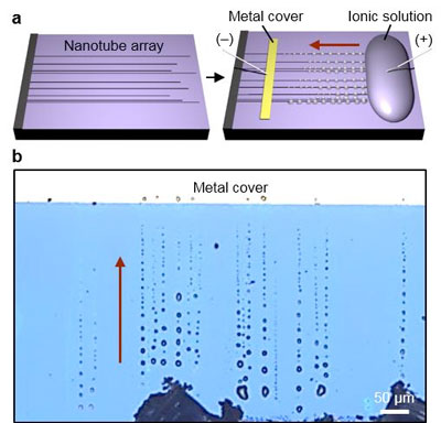 Formation of salt micro/nanocrystals along SWNTs via exterior transport