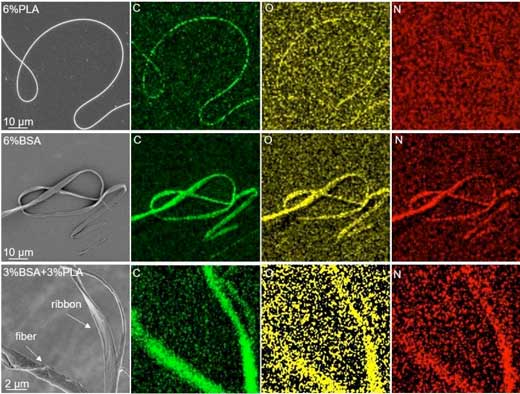 polymer nanofibers