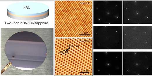 Wafer-scale single-crystal hexagonal boron nitride monolayers identified by STM and micro-region LEED