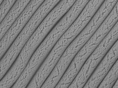 Carbon Nanotube Fields