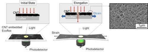 schematic diagram of the sensor based on the optical transmittance changes of the CNT-embedded Ecoflex thin film