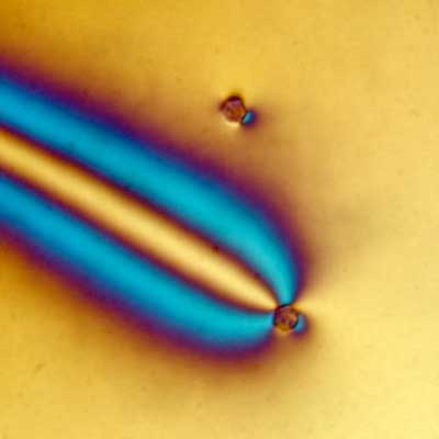 Shining different kinds of light on silica micro particles in a liquid crystal causes molecules around the particles to bend in different ways, providing a new way to assemble and manipulate atom-like systems called ‘big atoms'