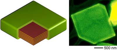Exposure of tin to sulfur produces a layered, fast-growing tin sulfide core (brown) surrounded by a thin tin disulfide shell (green)
