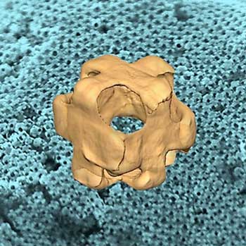 t center, a 3D electron tomogram image of a hollow gold-silver alloy nanowrapper showing the pores at each corner. The background is a scanning electron microscope image of a large number of nanowrappers assembled into a superlattice