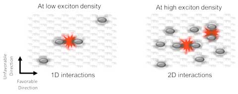 low and high exciton density