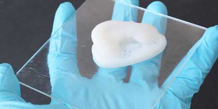 A 3D-printed ear cartilage imitation made of the cellulose composite material