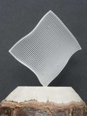 A 3D-printed filigree mesh