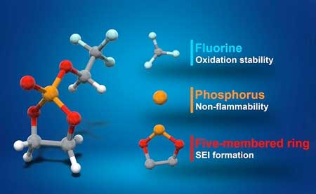 Different parts of the TFEP molecule