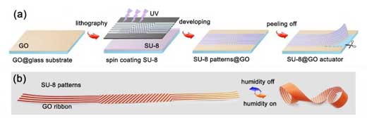fabrication of patterned SU-8/GO bilayer film using UV lithography