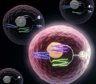 Conceptual Image of Cells Containing Logic Gates