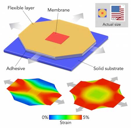 using micromanipulators to stretch a super-thin, flexible membrane on a tiny apparatus and glued it in place to preserve the stretch