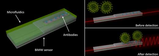 nanophotonic biosensor