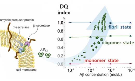 The monomer, oligomer and fibrillar forms of the A? protein are distinguished using THz near-field conductance measurements