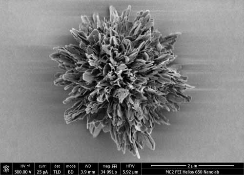 spiky nanoparticle made from curved gold-cysteine nanosheets