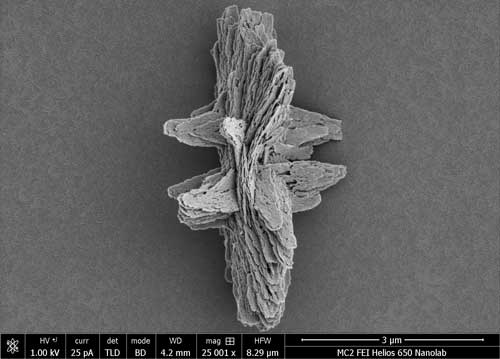 kayak microparticle