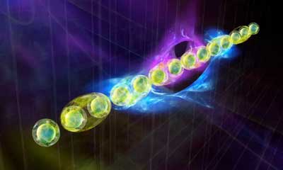 A particularly fascinating class of quantum states are topological states of matter