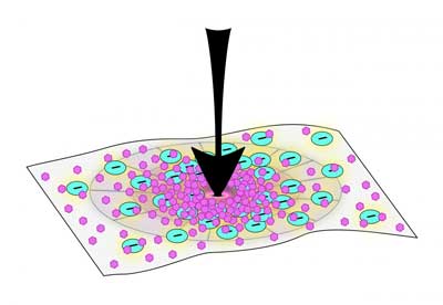 increased force (arrow pointing down) applied on the material led to more electrical charges, and thus, more mineralization