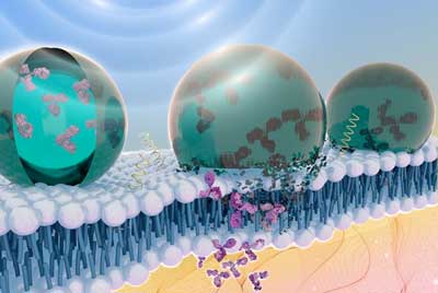 delivery capsules for therapeutic proteins