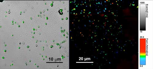 Stable luminescent composite microspheres based on porous silica with embedded CsPbBr<span class='subscript' style=