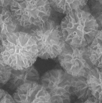 Scanning Electron Microscopy (SEM) images of porous silica nanodevices