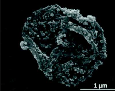 Magnetically responsive microscopic drug carrier