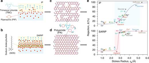 traditional interfacial polymerization, (top row) and surfactant assembly regulated interfacial polymerization (SARIP)