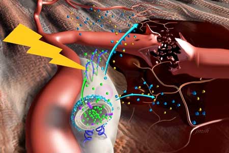 Nanostimulators bind to the surface of stem cells