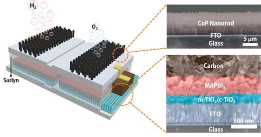 A schematic and electron microscope cross-section show the structure of an integrated, solar-powered catalyst to split water into hydrogen fuel and oxygen