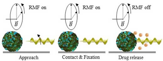 Drug release method of a microrobot