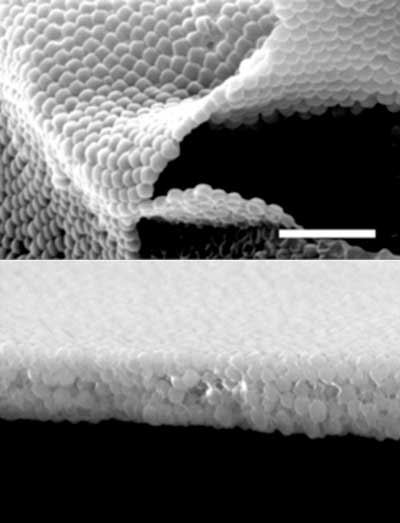 ultrathin porous metal-organic framework layers