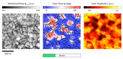 Dynamics of the magnesium hydride phase formation in magnesium with nanometer resolution captured with in-situ scanning near-field optical microscopy