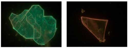Two perovskite flakes with different photoluminescent colors
