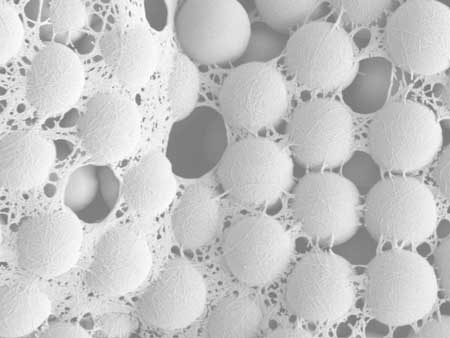 A scanning electron micrograph shows a fishnet structure formed by nanocellulose that has bound silica particles together