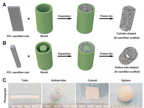 Schematic illustrating the procedure of converting a 2D nanofiber mat into a cylinder-shaped nanofiber scaffold