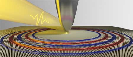Illustration of plasmon waves created by an ultrafast laser coupled to an atomic force microscopy tip