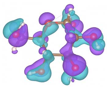 a model illustrates charge distribution in glucose