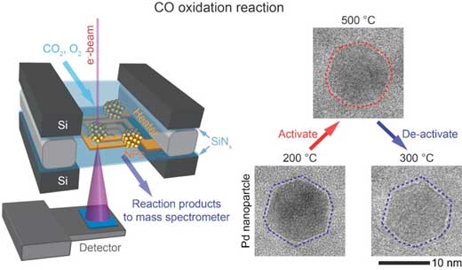 catalytic activity of nanoparticles