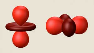 These balloon-and-disc shapes represent an electron orbital