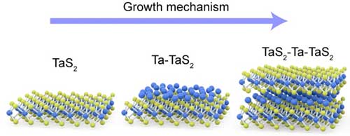 Schematics showing the step-by-step growth of a typical Ta7S12 ic-2D material