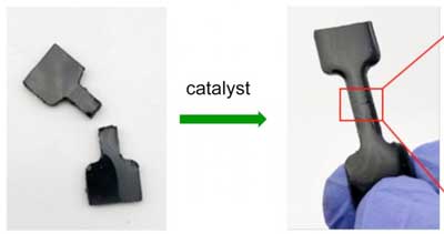 rubber polymer