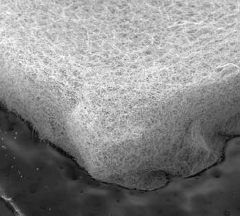 Nickel Felt electrode - microscopic view