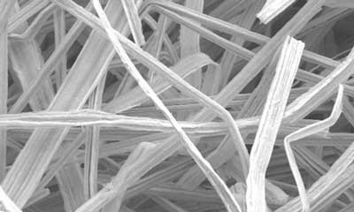 Nickel Felt electrode - EM view